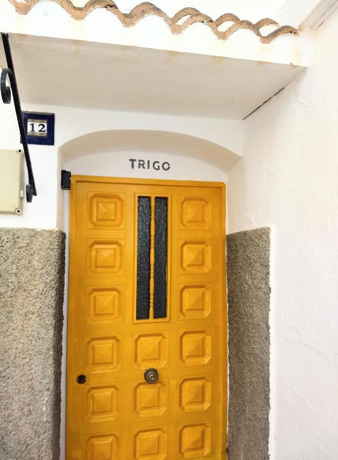 康佩塔Casa Trigo别墅 外观 照片